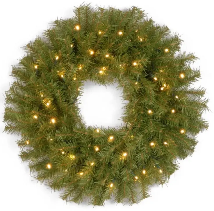 24" Virginia Pine Pre-Lit Battery-Operated Wreath 1