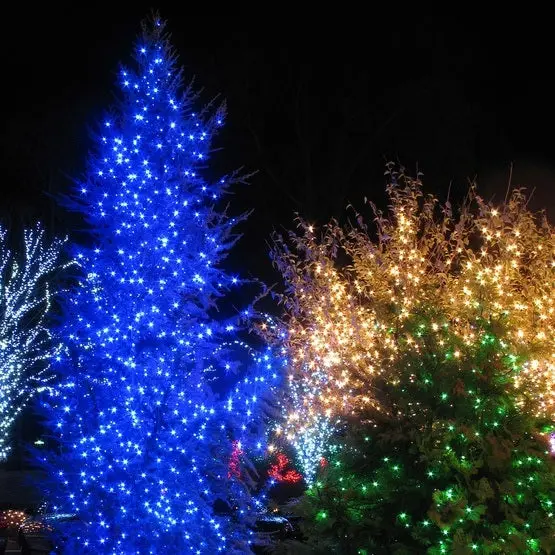 Set Of 100 Mini Led Christmas Lights 1