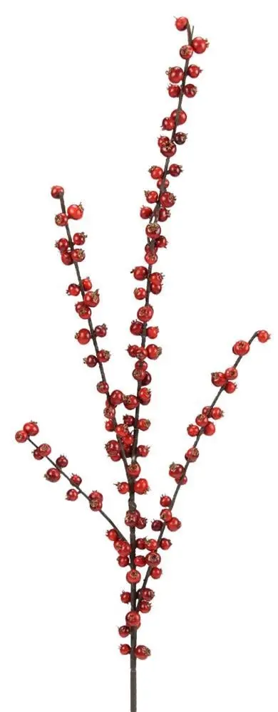 28" Red Huckleberry Pick Spray 1
