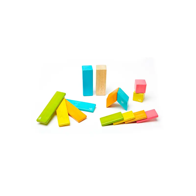Tegu 14-Piece Set  Magnetic Wooden Blocks  Tegu Classics 1
