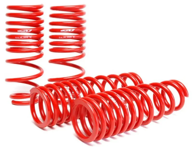 Skunk2 Lowering Spring Set – For 1992–1995 Honda Civic And Del Sol, 2.25–2.50" Drop 1
