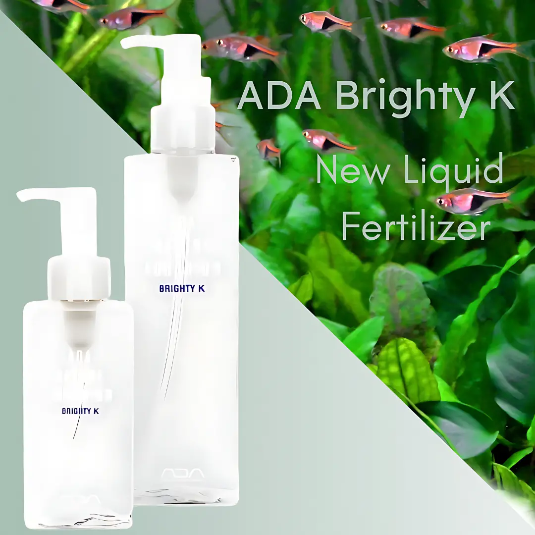 Ada Brighty K 300Ml 1