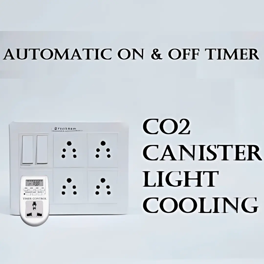 Auto Timer On/Off With Switch Box 1