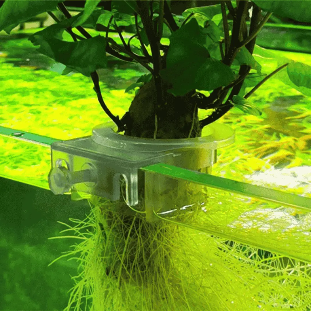 Aquarium Plant Holder Cup 1