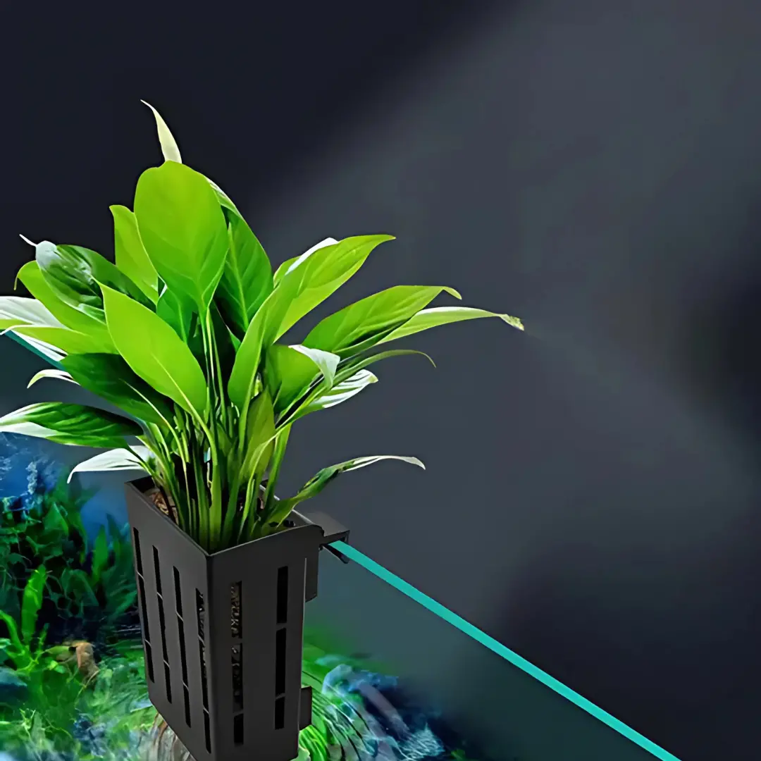 Aquarium Hanging Plant Holder 1