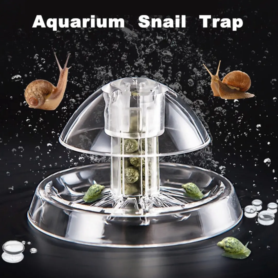 Aquarium Snail Trap 1