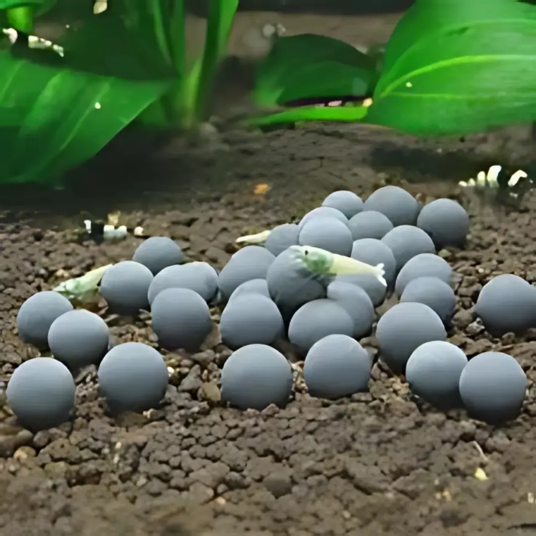 Aquatic Remedies Shrimp Line Minerals Balls 2