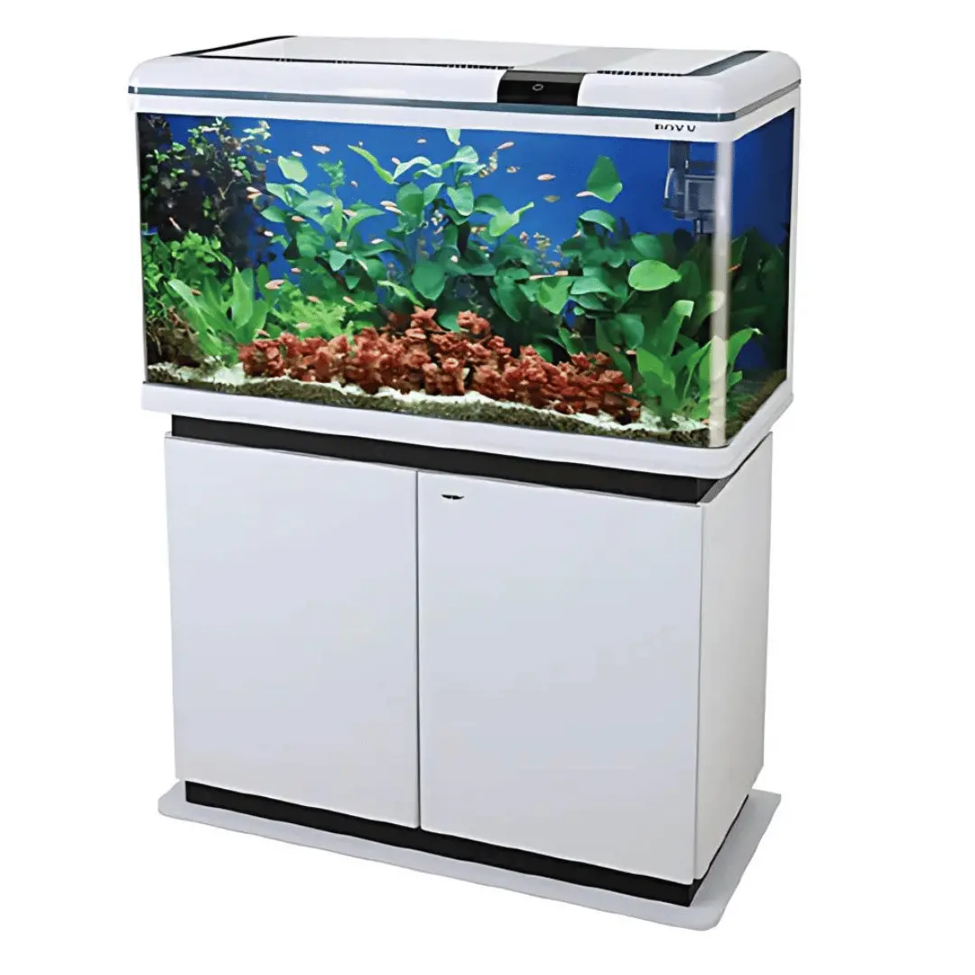 Boyu Xf-80 L*W*H = 80*36*57 Cms Tank Only 1