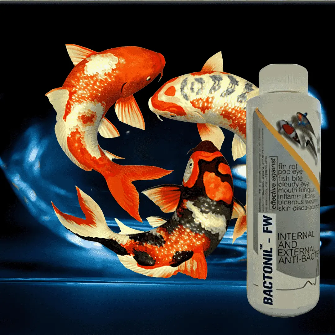 Medicine Aquatic Remedies Bactonil Fw 1