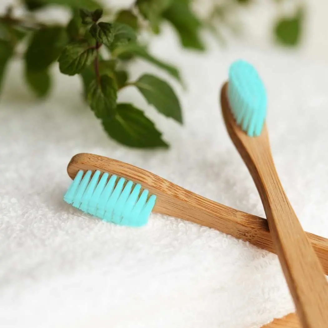 Orl Bamboo Toothbrush 1
