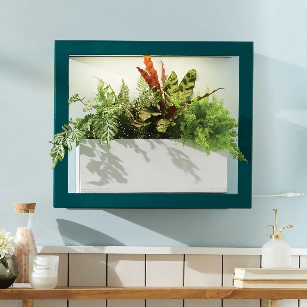 Modern Sprout Smart Standard Growframe 1