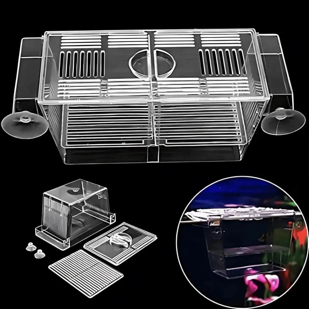 Breeding Box Breeding Net 2