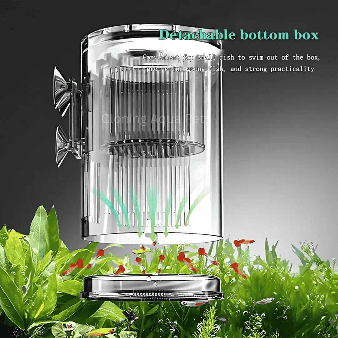 Breeding Box Incubator Isolation Box Cs-306 1