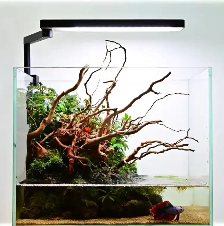 Chihiros C Ii Wrgb Aquarium Nano Led Light For Planted Aquarium 1