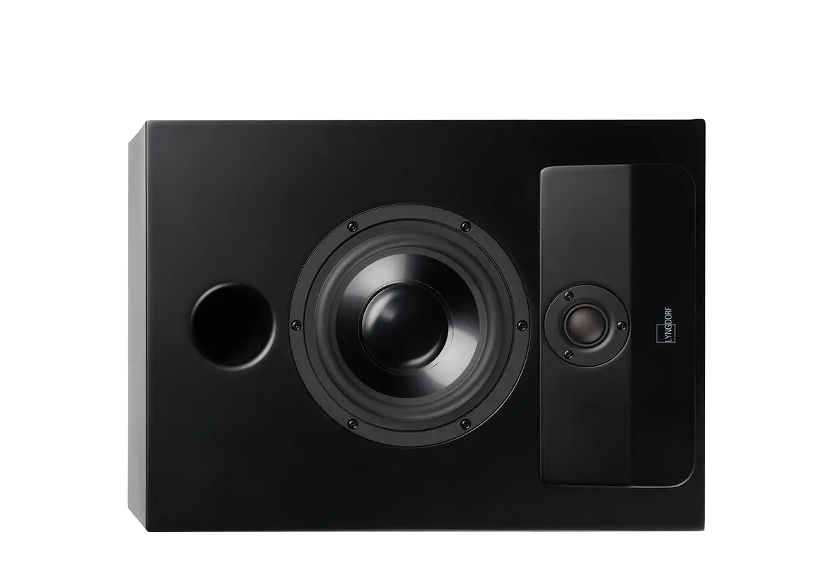 Lyngdorf Cs-2, Full Range Speaker 1