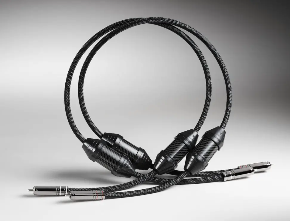 Shunyata Alpha X Interconnect 2
