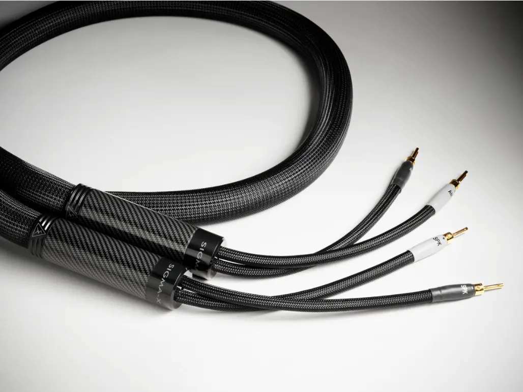 Shunyata Sigma X Speaker Cables 1