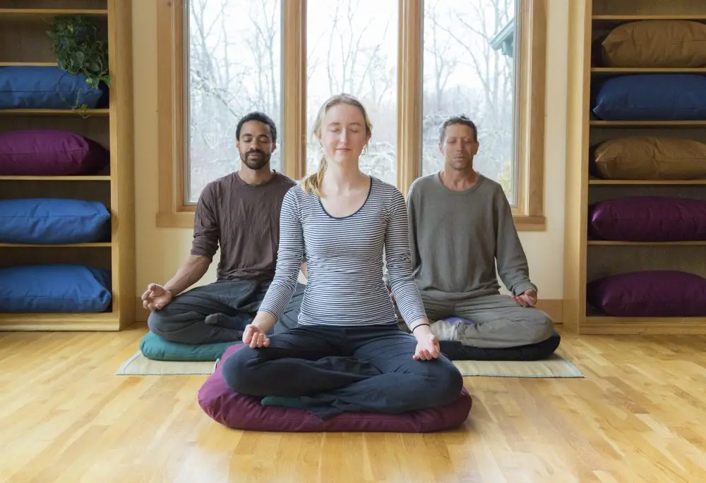 Carolina Morning Zabuton Meditation Mat 1
