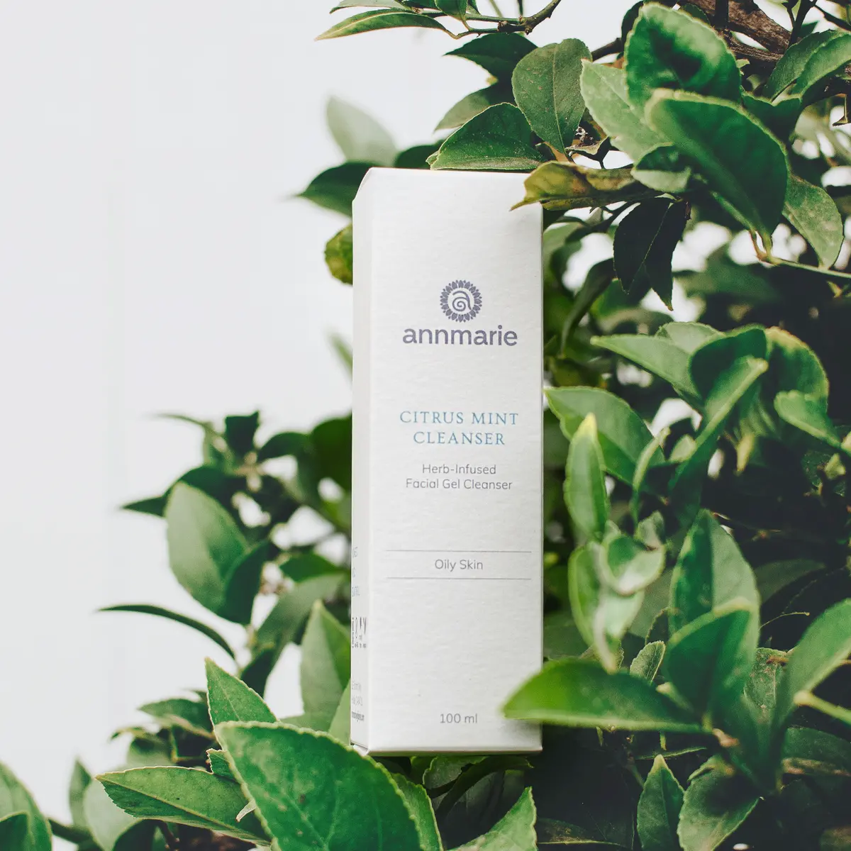 Annmarie Skin Care Citrus Mint Cleanser (100Ml) 1