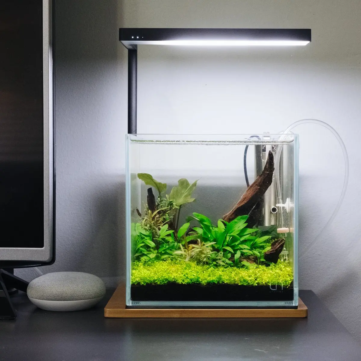 Cubic Ultra Clear Tank Only (L*W*H = 16*16*16 Inches) | 6Mm 1