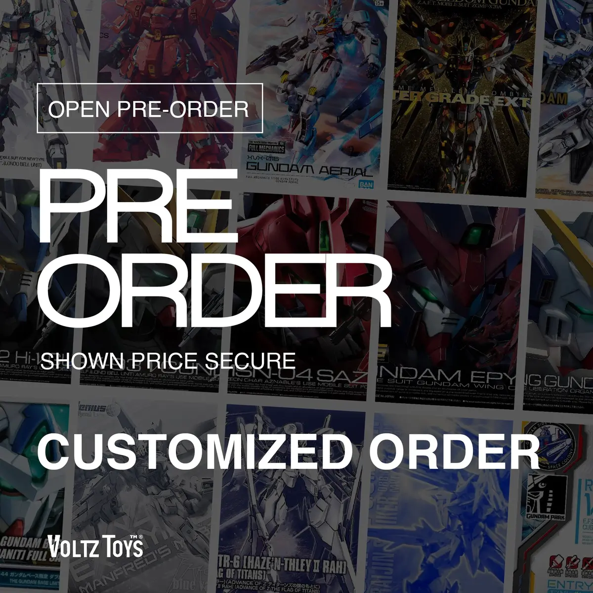 【Anime & Hobby】Custom Pre-Order 1