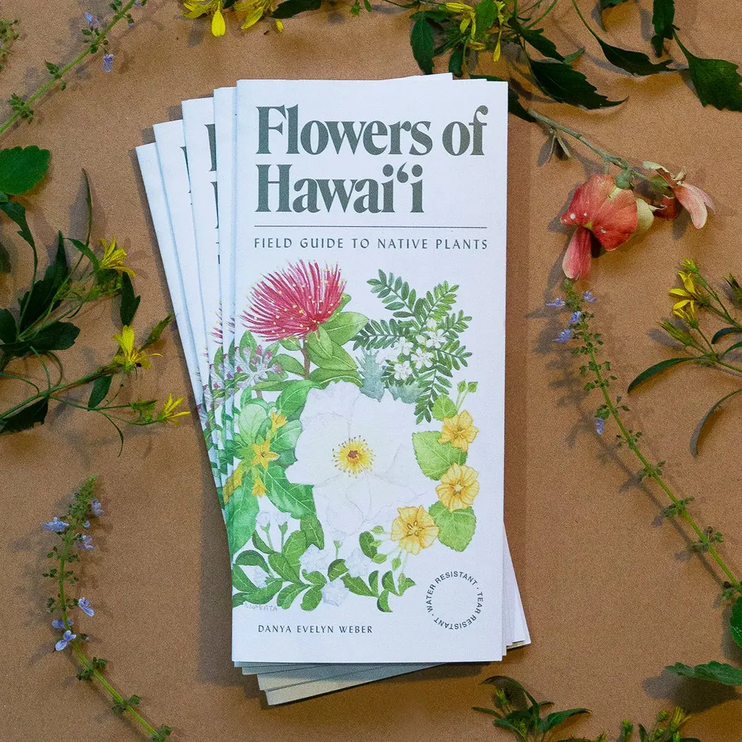 Flowers Of Hawaiʻi Field Guide 1