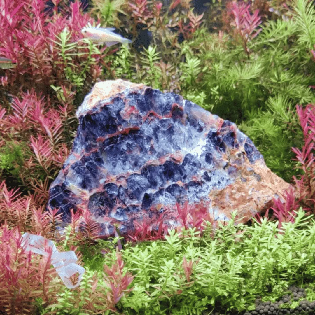 Decor Blue Diamond Seiryu Rock 1 Kg 1