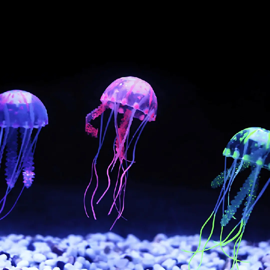 Decor Fluorescent Artificial Silicon Jelly Toy (10*10*10 Cms) 1