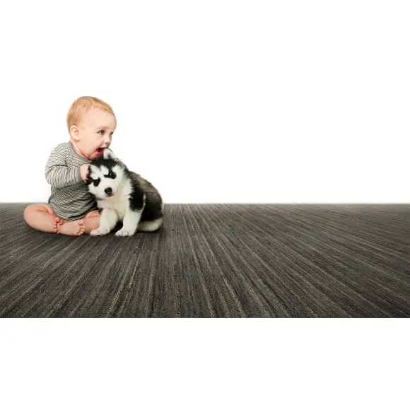 Earth Weave Catskill Natural Wool Area Rug - Free Shipping 2