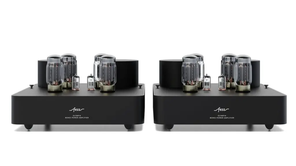 Fezz Olympia Mono Power Amplifier 1