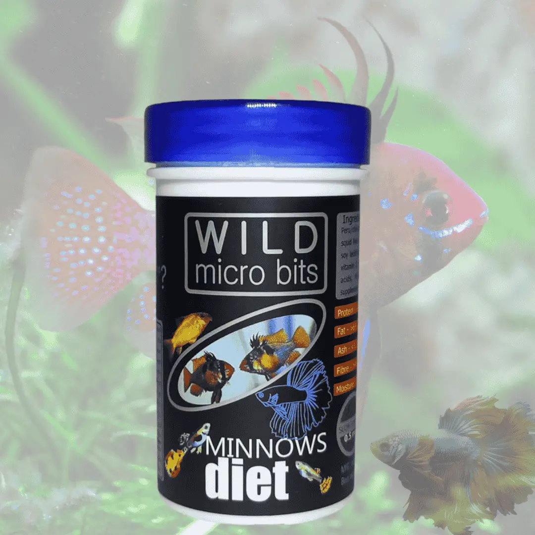 Food Gene Eleven Wild Micro Bits Minnows Diet 30G 1