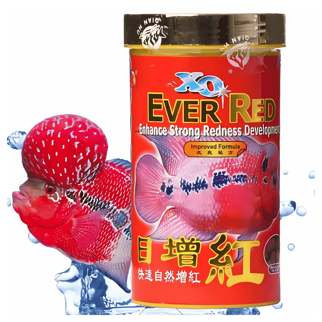 Food Ocean Free Xo Ever Red 120Gm 1
