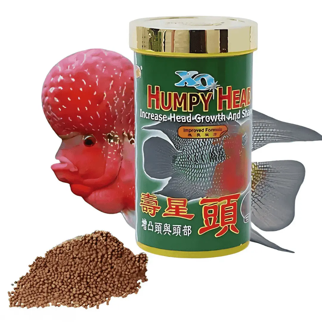 Food Ocean Free Xo Humpy Head 100Gm 1