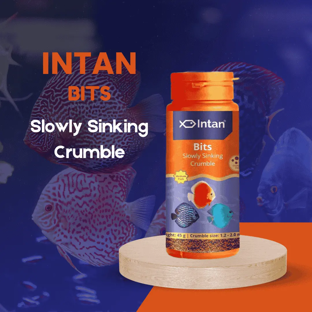 Food Intan Bits Slow Sinking Crumble Medium 45Gm 1
