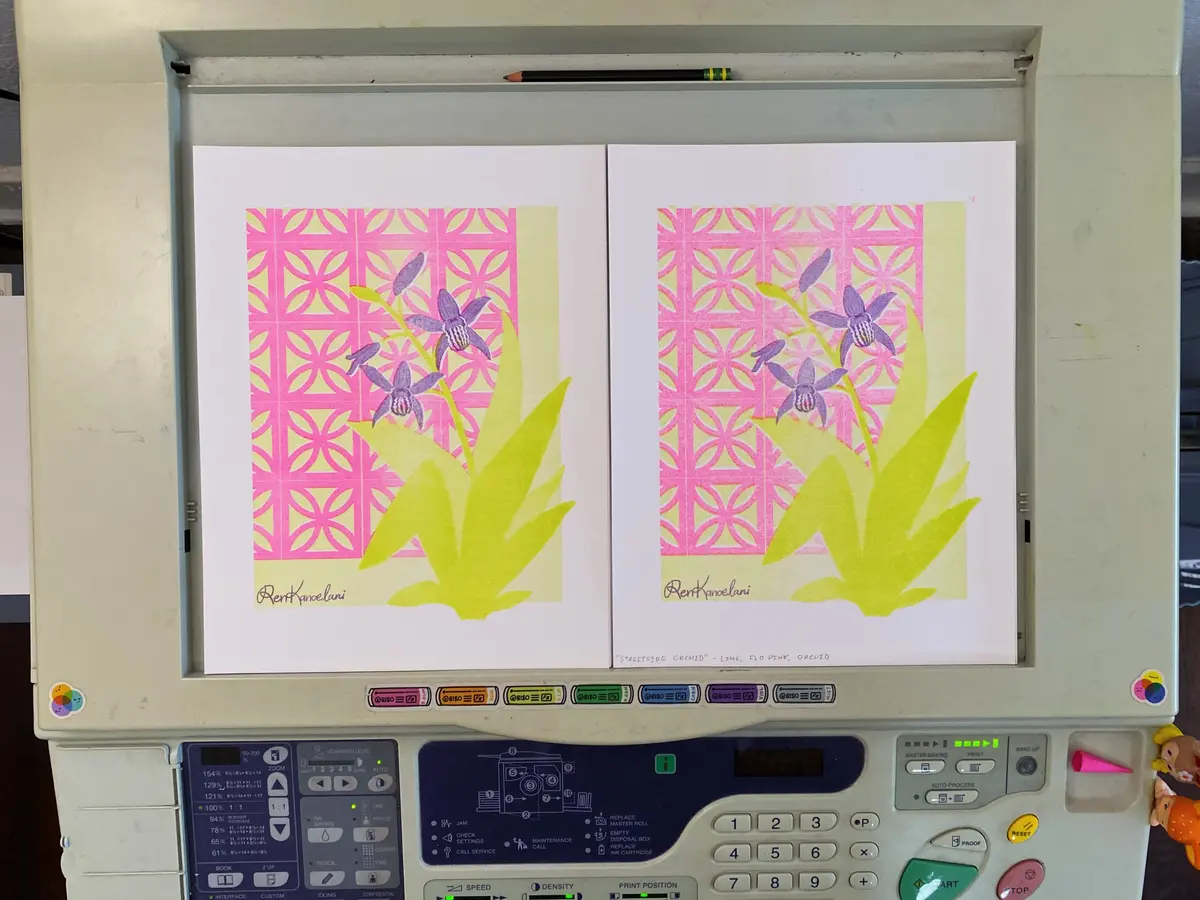 Kanoelanis 8.5 X 11" Print 1
