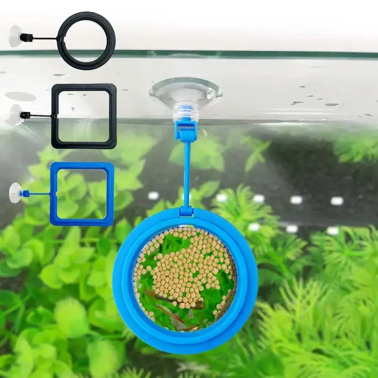 Gadgets Circle Feeding Ring 1
