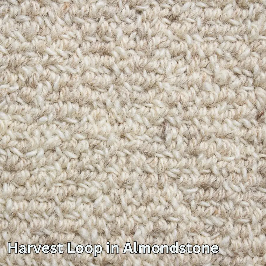 Clean Carpet & Rugs - Non-Toxic Wool Area Rugs - Harvest Loop 1