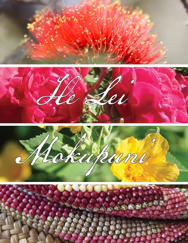 He Lei Mokupuni 1