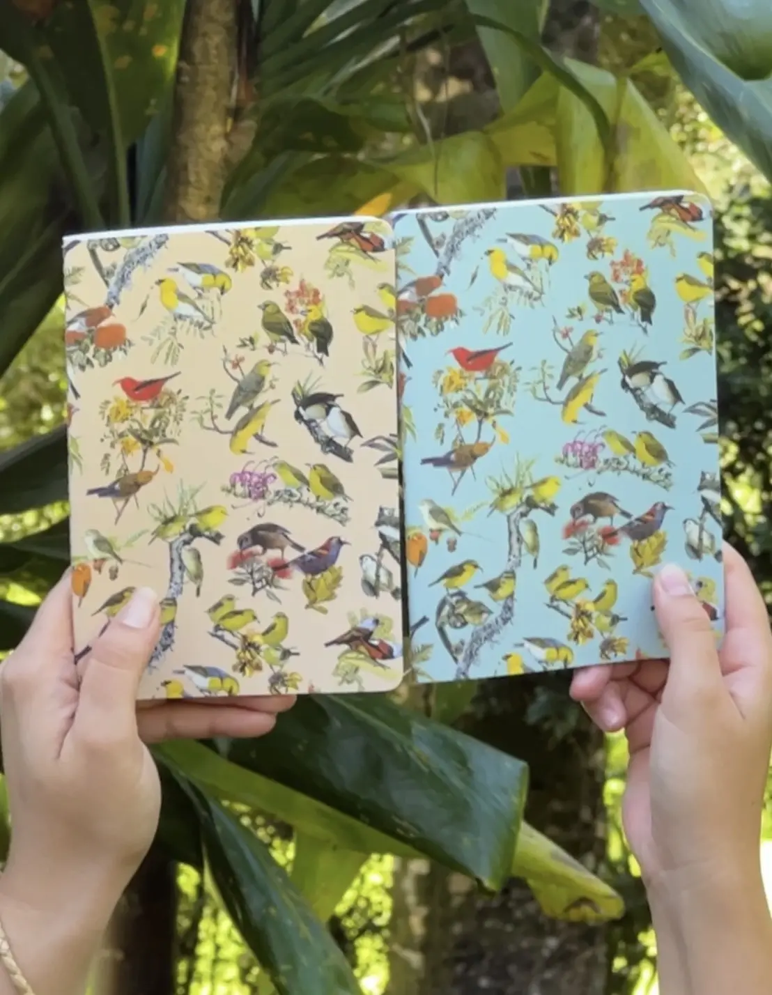 Hawaiian Honeycreeper Journal 1