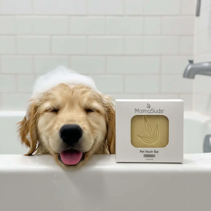 Mamasuds Pet Wash Bar Unscented 1