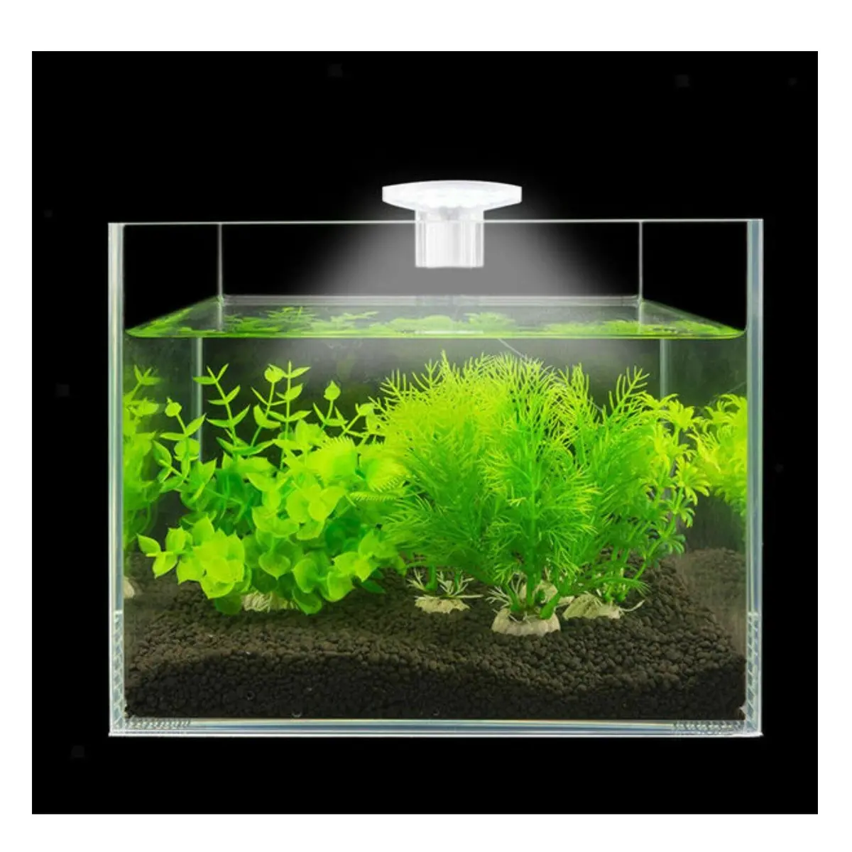 M3 Mini Clip Lamp 5W For Betta Tank 1