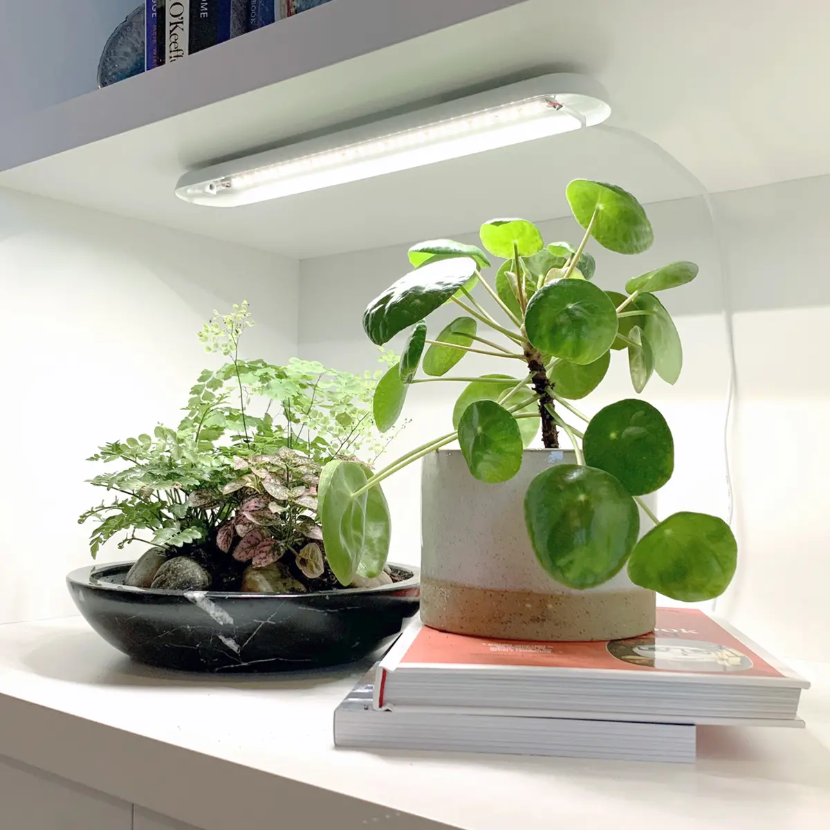Modern Sprout Smart Growbar 1