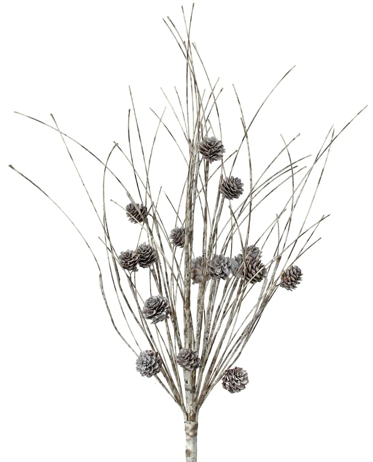 24" Frosted Birch Wrapped Twig With Pine Cones Pick Spray 1