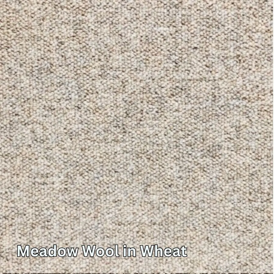 Clean Carpet & Rugs - Non-Toxic Wool Area Rugs - Summit Loop 1