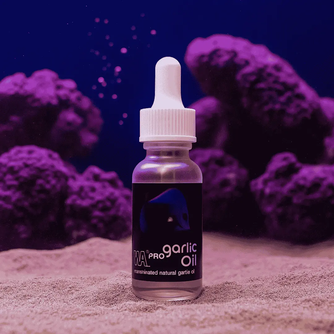 Medicine Aquatic Remeties Wa Pro Garlic Oil | 20 Ml 2