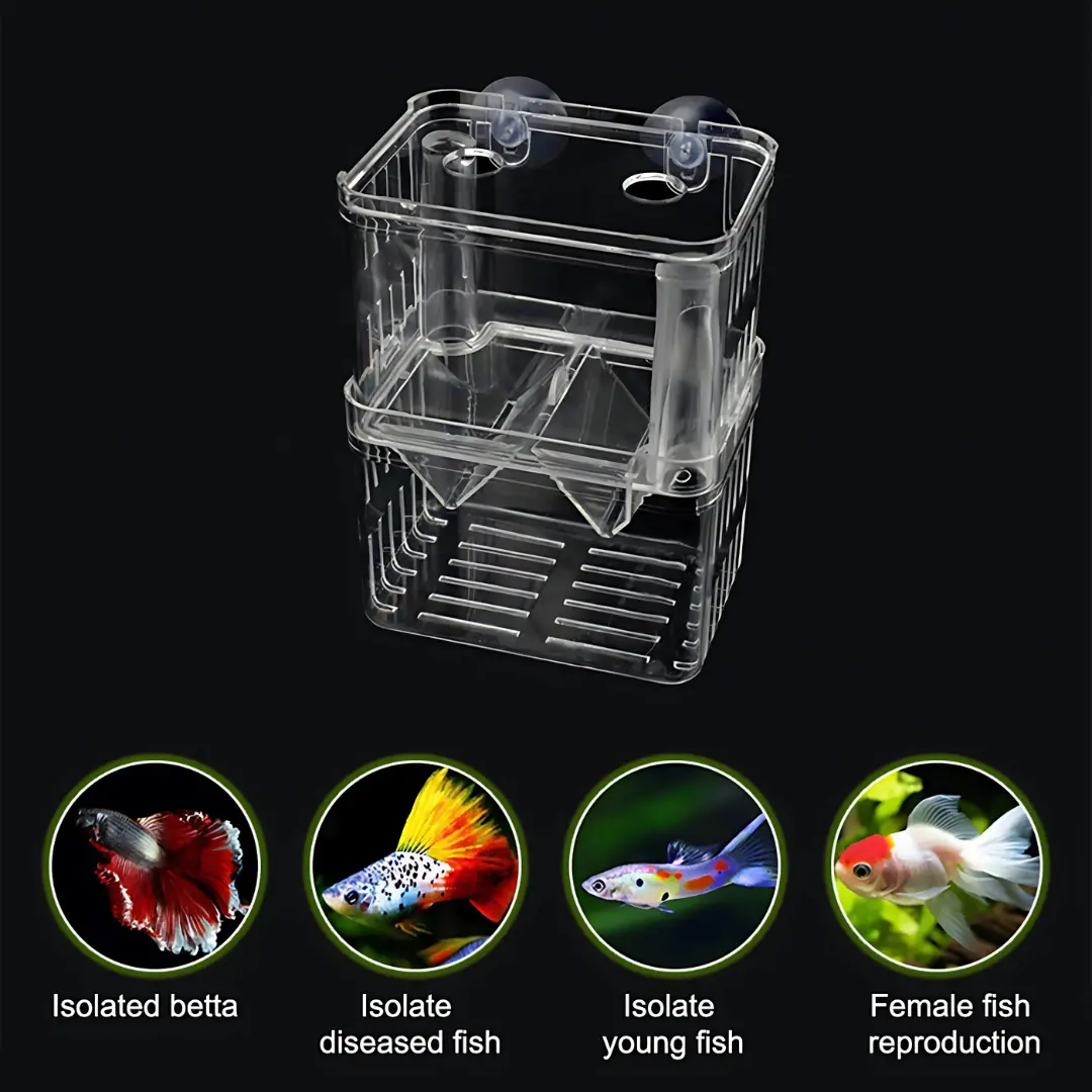 Breeding Box Incubator Isolation Box 1 L - 32101 1
