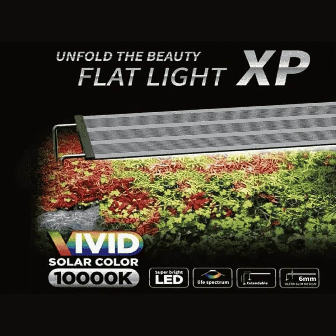 Neo Helios Xp-800 Vivid Flat Planted Tank Light 1