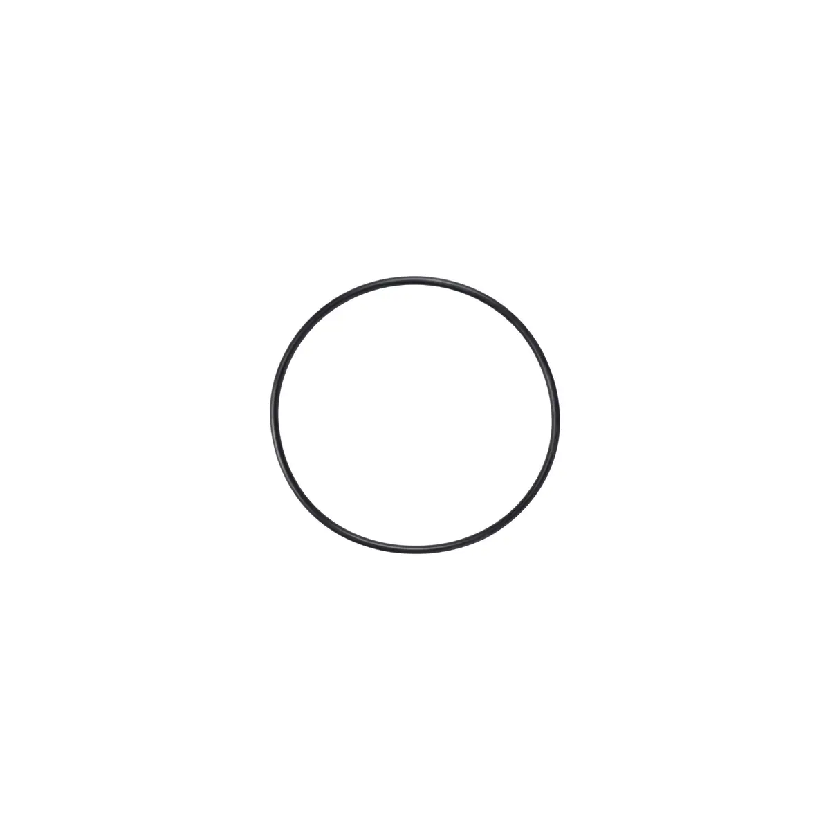 Ord1 - O-Ring For D1 1