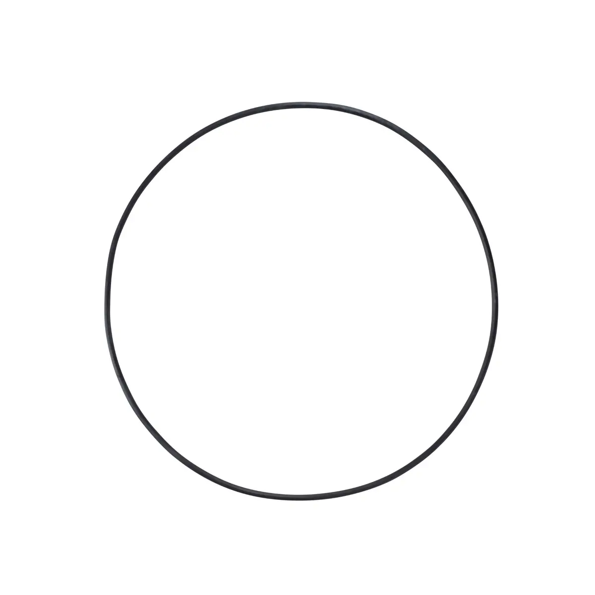Ord4 - O-Ring For D4 1