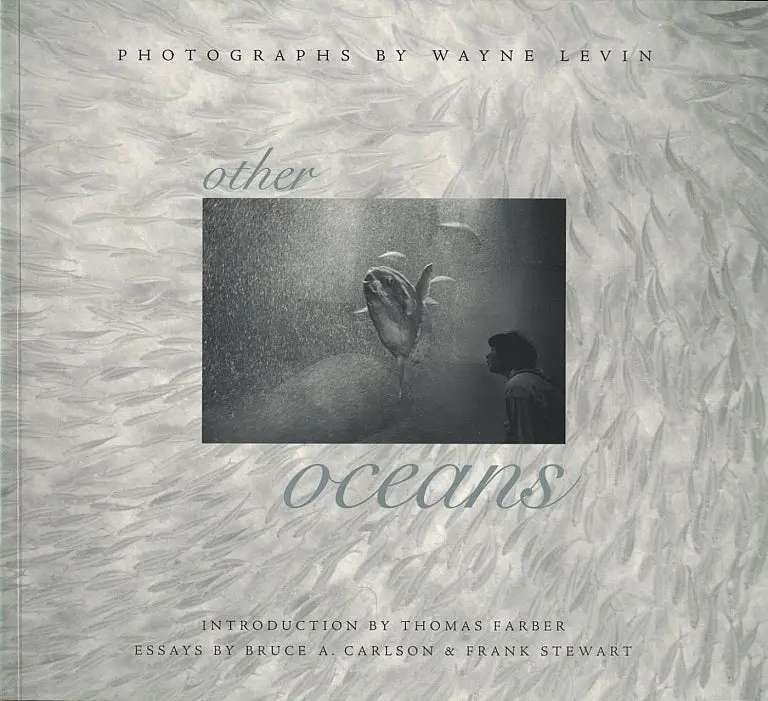 Other Oceans (Photographs By Wayne Levin) 1